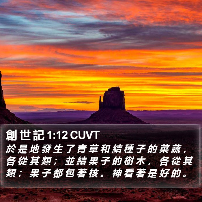 創 世 記 1:12 CUVT Bible Study