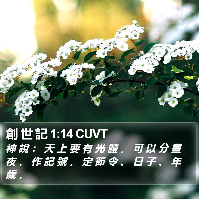 創 世 記 1:14 CUVT Bible Study