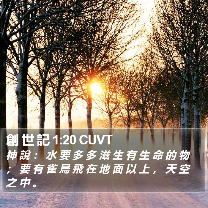 創 世 記 1:20 CUVT Bible Study