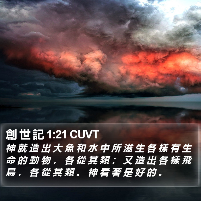 創 世 記 1:21 CUVT Bible Study