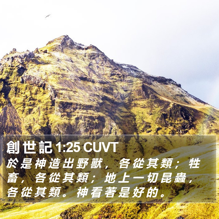 創 世 記 1:25 CUVT Bible Study