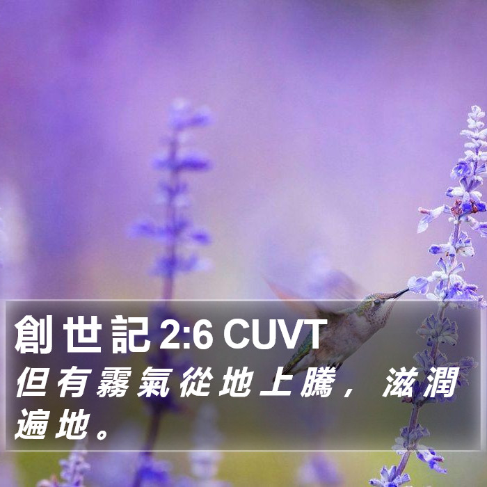 創 世 記 2:6 CUVT Bible Study