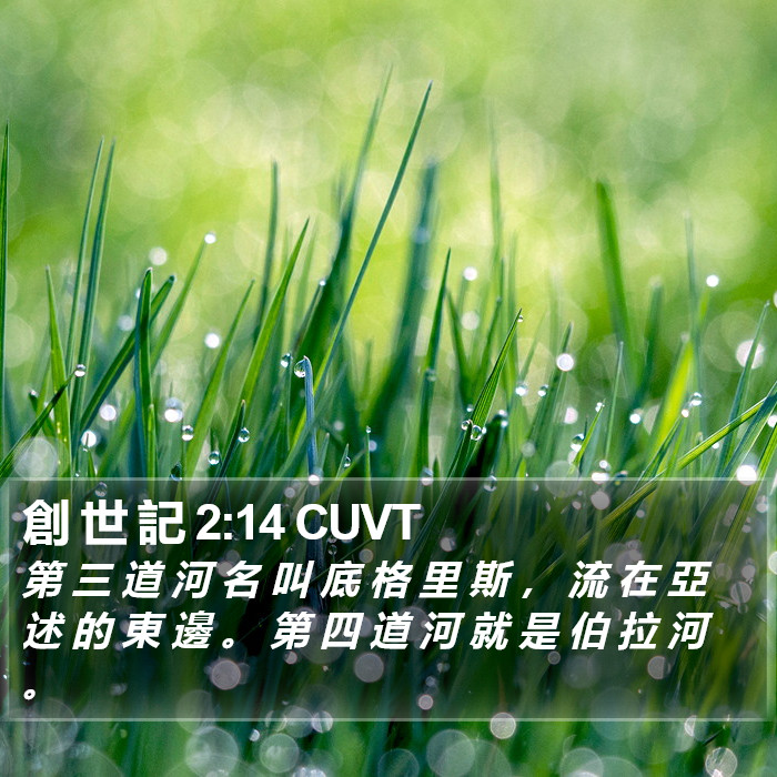 創 世 記 2:14 CUVT Bible Study