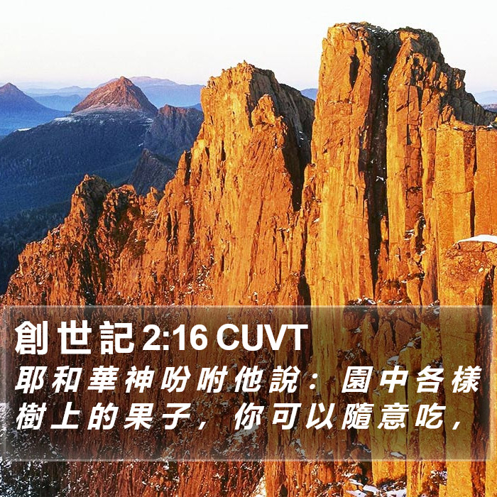 創 世 記 2:16 CUVT Bible Study