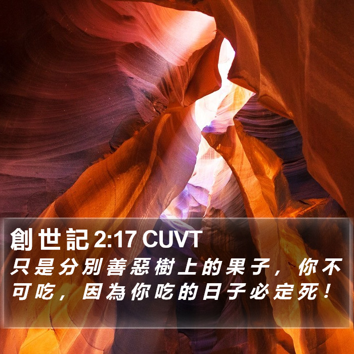 創 世 記 2:17 CUVT Bible Study