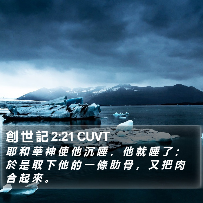 創 世 記 2:21 CUVT Bible Study