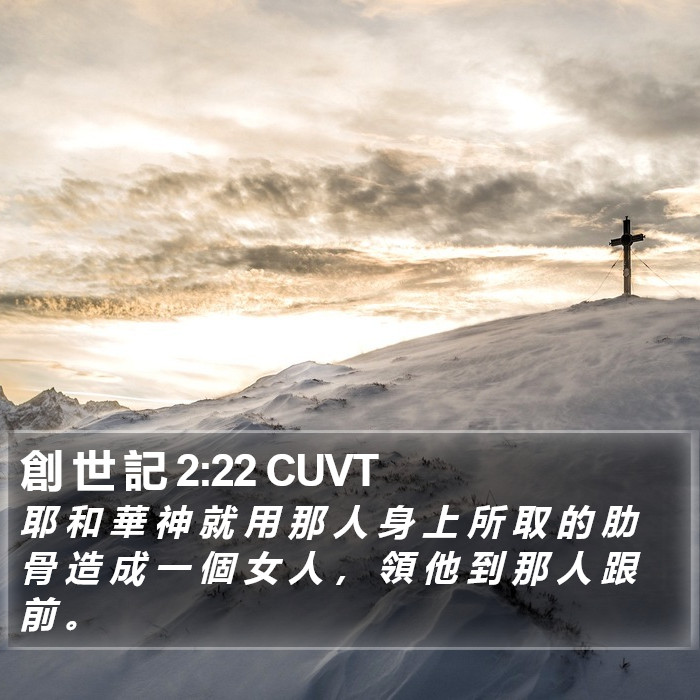 創 世 記 2:22 CUVT Bible Study