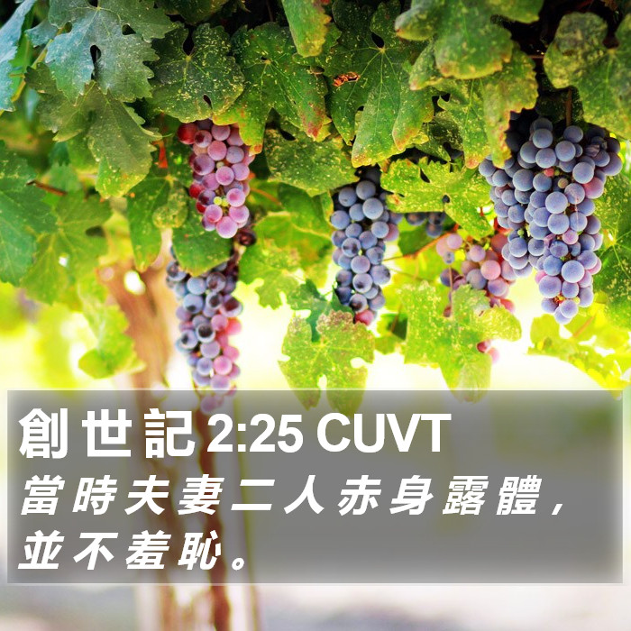 創 世 記 2:25 CUVT Bible Study