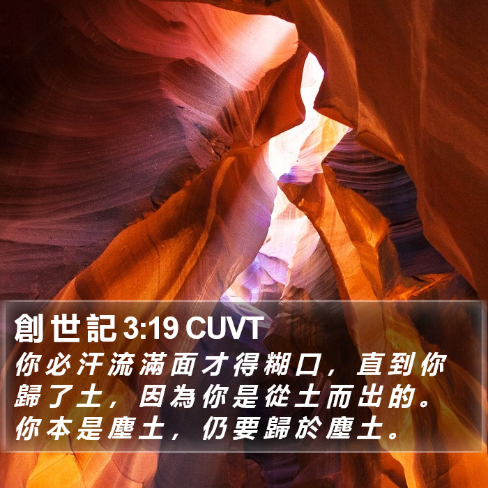 創 世 記 3:19 CUVT Bible Study