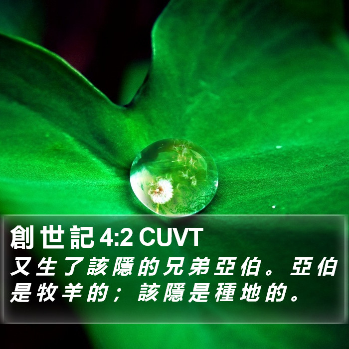 創 世 記 4:2 CUVT Bible Study