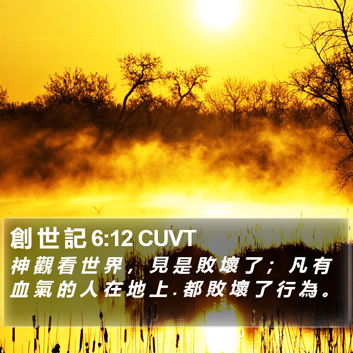 創 世 記 6:12 CUVT Bible Study