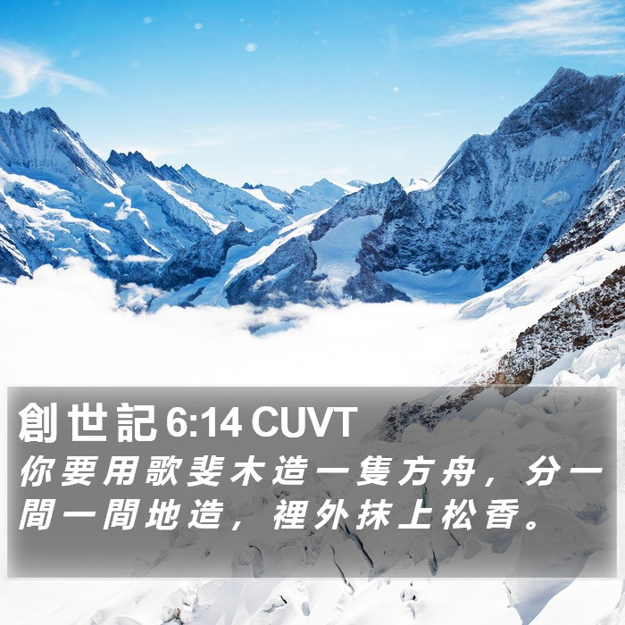 創 世 記 6:14 CUVT Bible Study