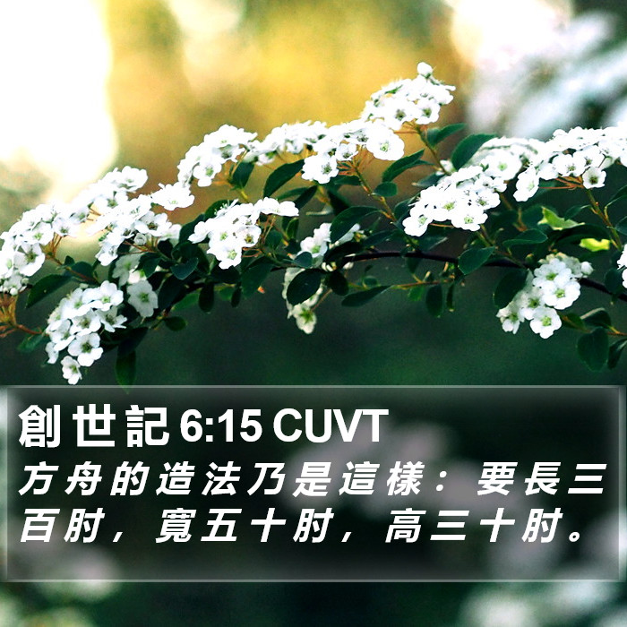 創 世 記 6:15 CUVT Bible Study