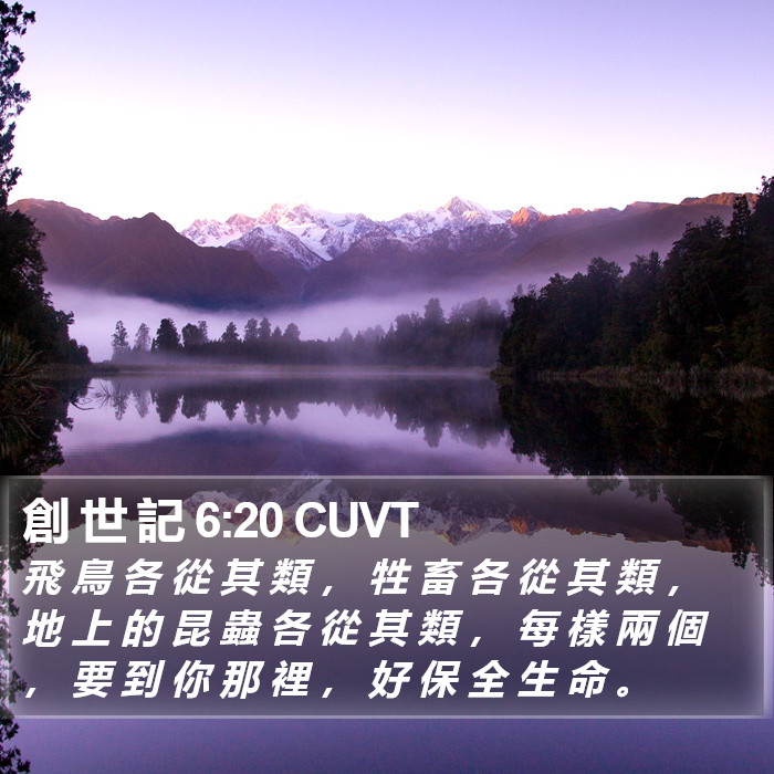 創 世 記 6:20 CUVT Bible Study