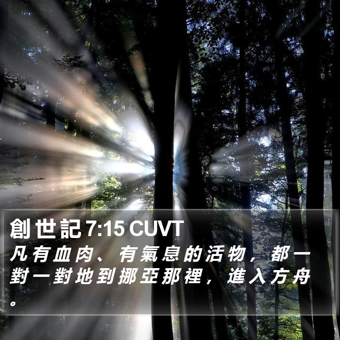 創 世 記 7:15 CUVT Bible Study