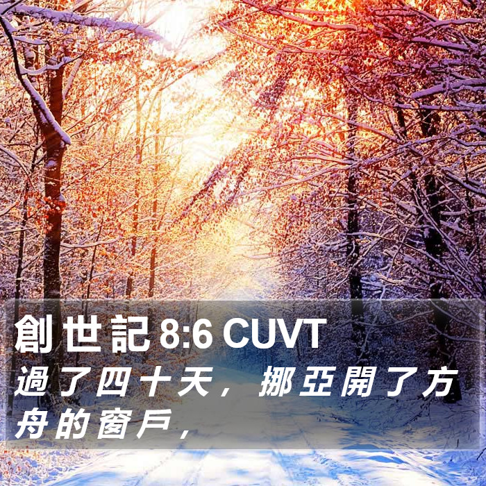 創 世 記 8:6 CUVT Bible Study