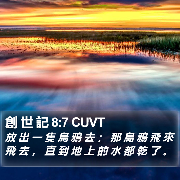 創 世 記 8:7 CUVT Bible Study