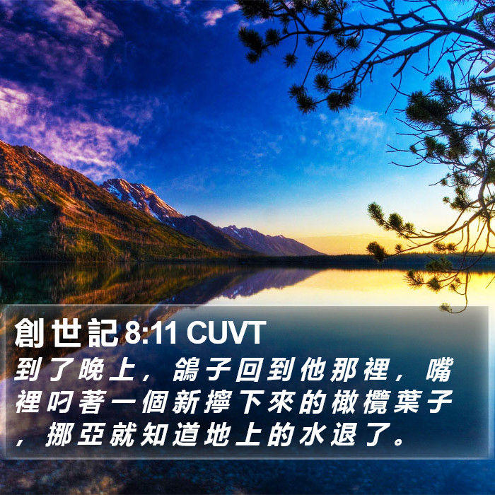 創 世 記 8:11 CUVT Bible Study