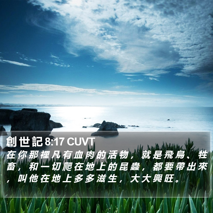創 世 記 8:17 CUVT Bible Study