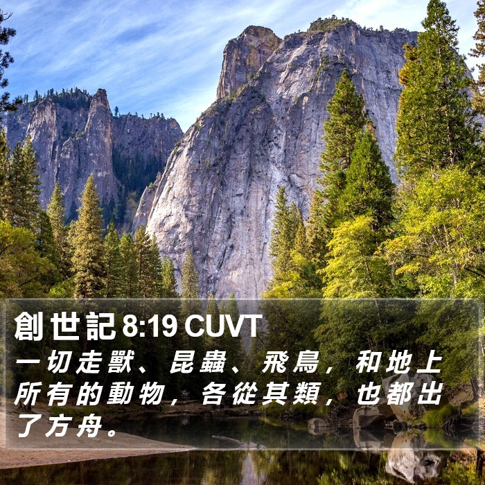創 世 記 8:19 CUVT Bible Study