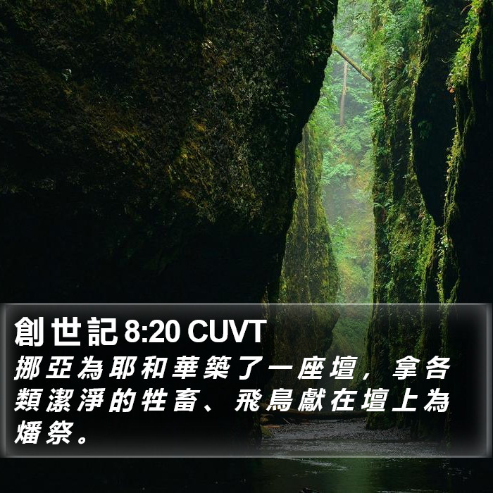 創 世 記 8:20 CUVT Bible Study