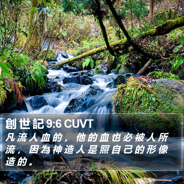 創 世 記 9:6 CUVT Bible Study