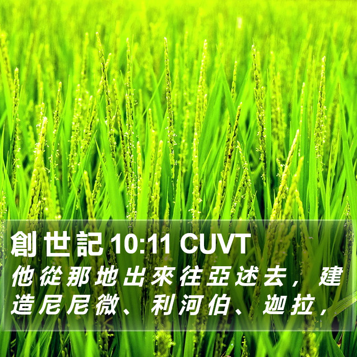 創 世 記 10:11 CUVT Bible Study