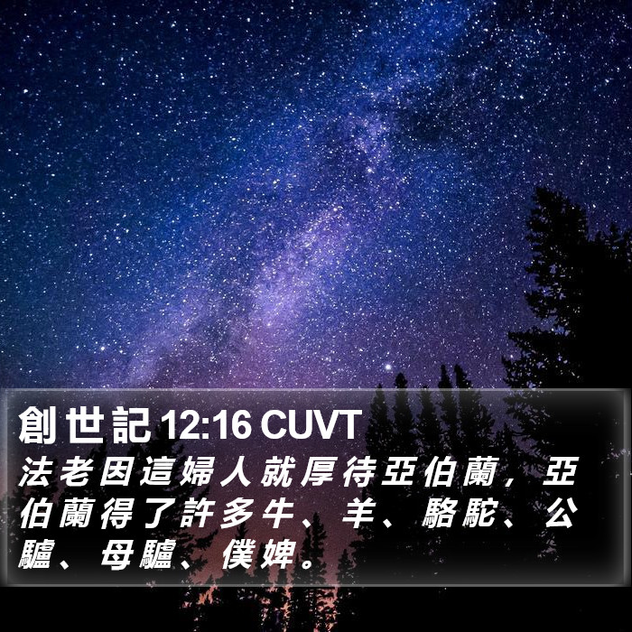 創 世 記 12:16 CUVT Bible Study