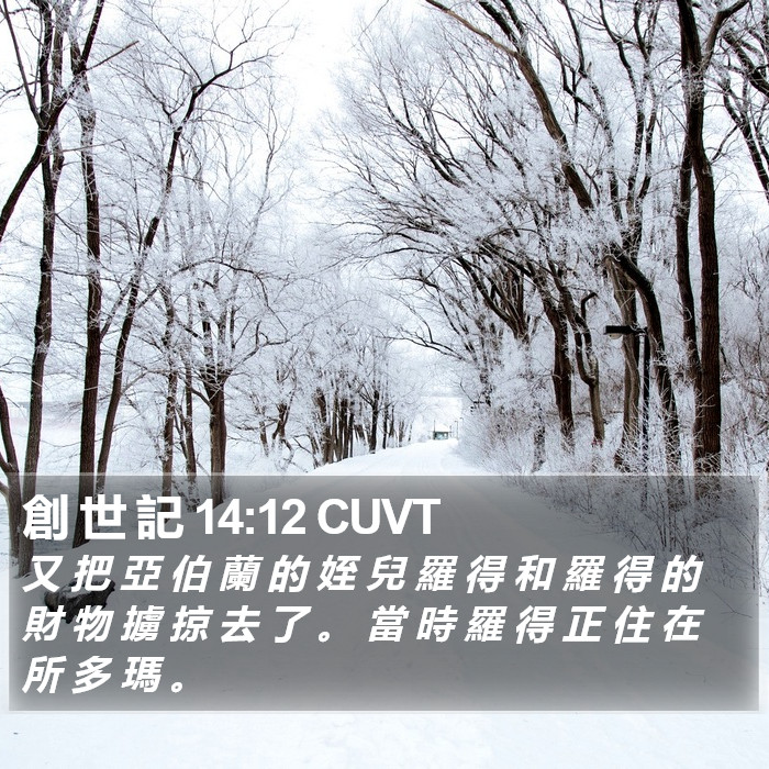 創 世 記 14:12 CUVT Bible Study