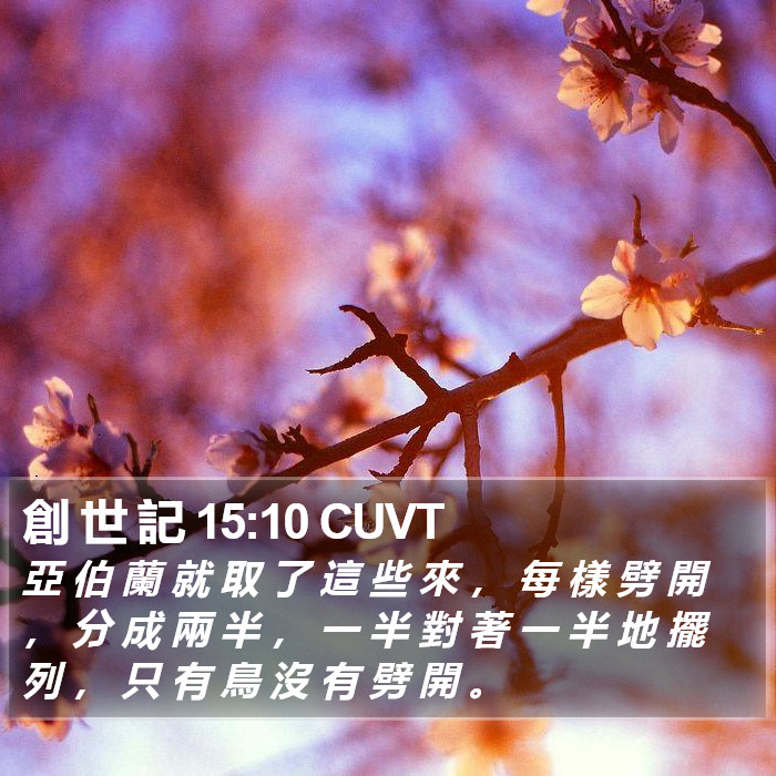 創 世 記 15:10 CUVT Bible Study