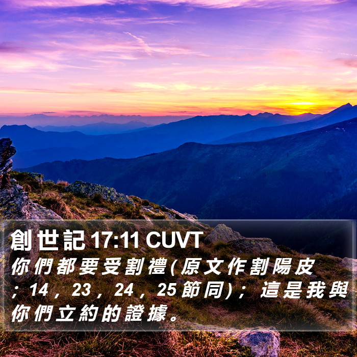 創 世 記 17:11 CUVT Bible Study