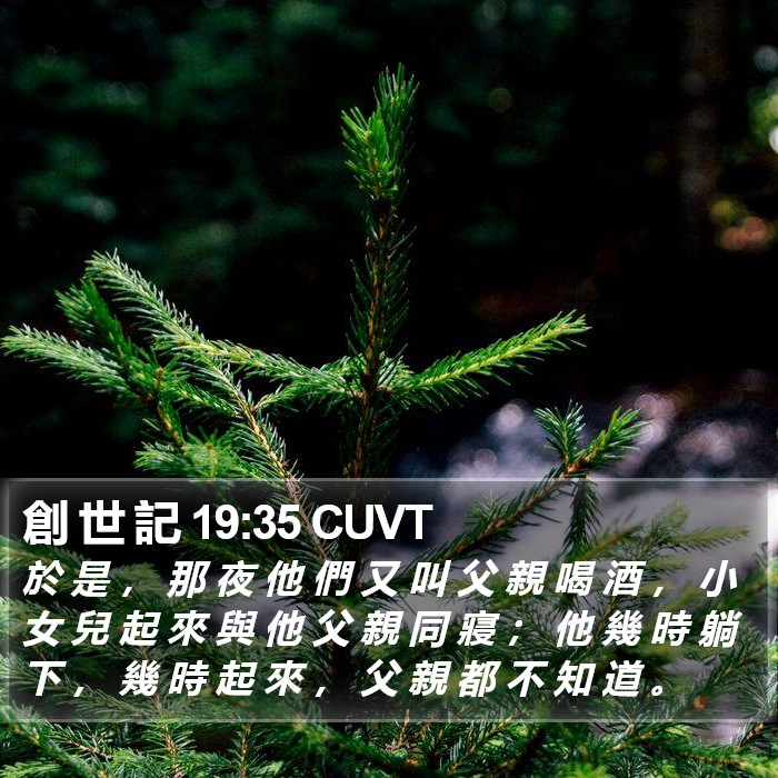創 世 記 19:35 CUVT Bible Study