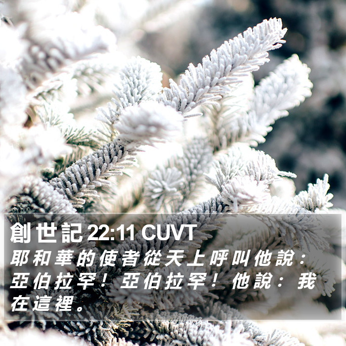 創 世 記 22:11 CUVT Bible Study