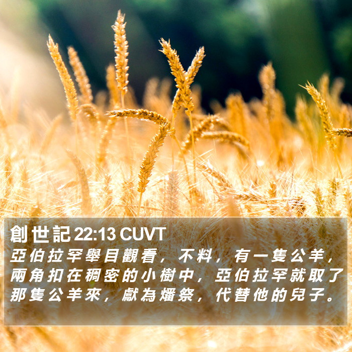 創 世 記 22:13 CUVT Bible Study