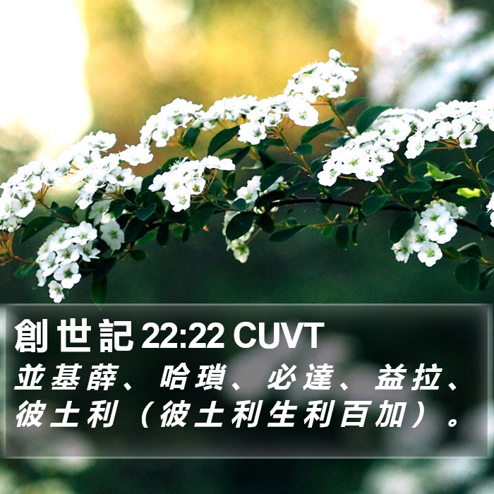 創 世 記 22:22 CUVT Bible Study