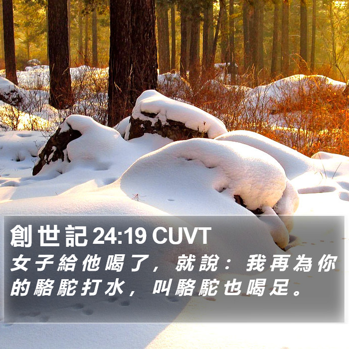 創 世 記 24:19 CUVT Bible Study