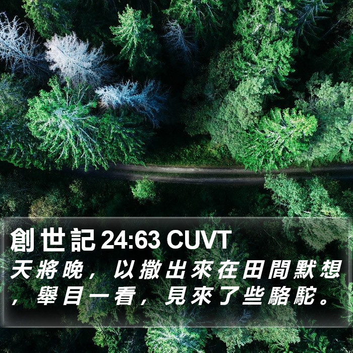 創 世 記 24:63 CUVT Bible Study