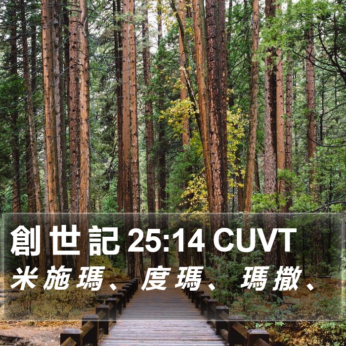 創 世 記 25:14 CUVT Bible Study
