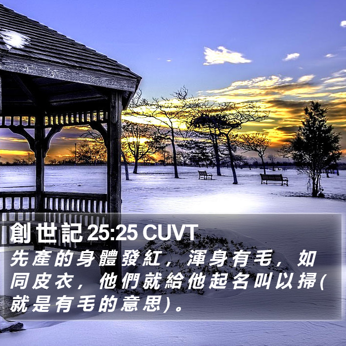 創 世 記 25:25 CUVT Bible Study