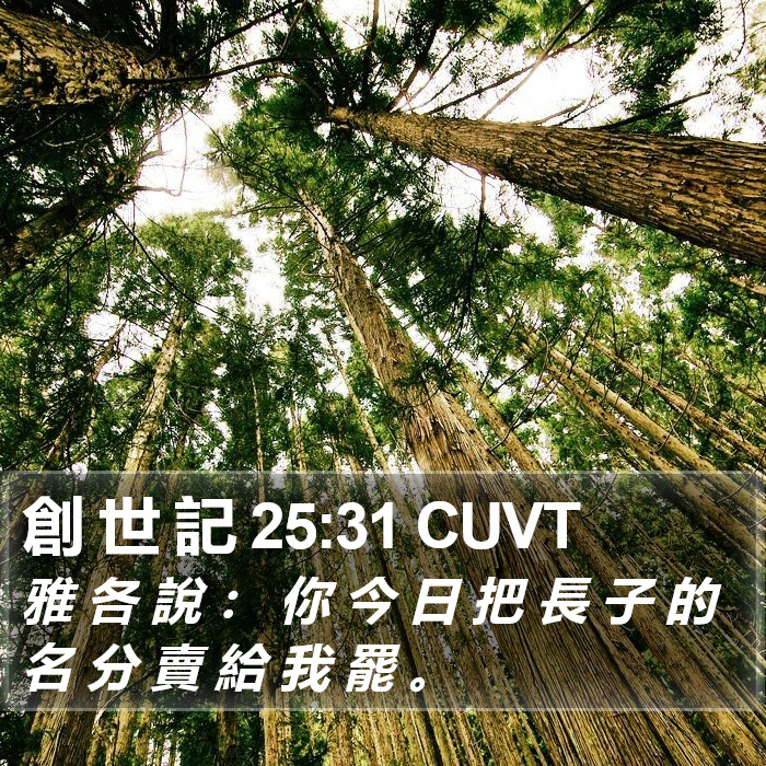 創 世 記 25:31 CUVT Bible Study
