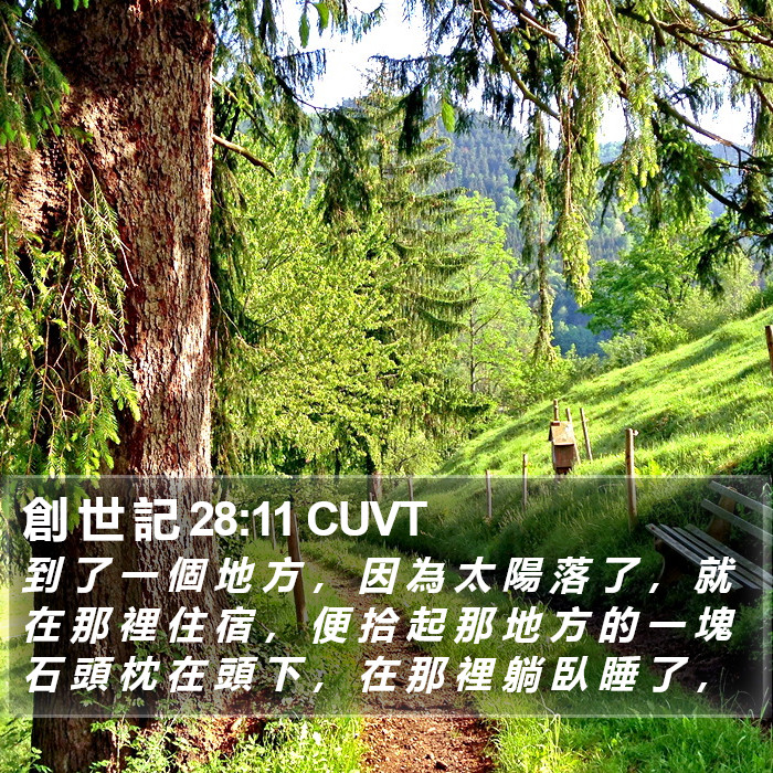 創 世 記 28:11 CUVT Bible Study