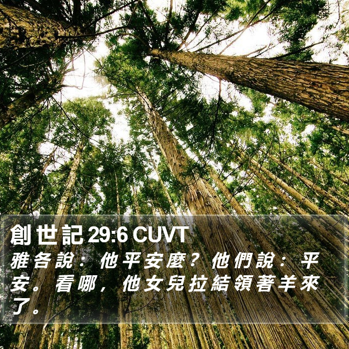 創 世 記 29:6 CUVT Bible Study