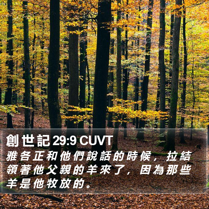 創 世 記 29:9 CUVT Bible Study