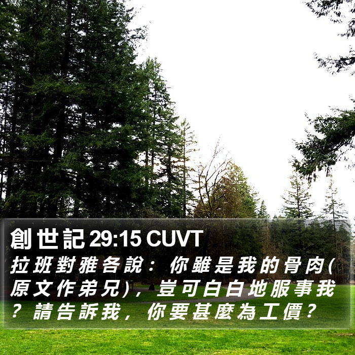 創 世 記 29:15 CUVT Bible Study