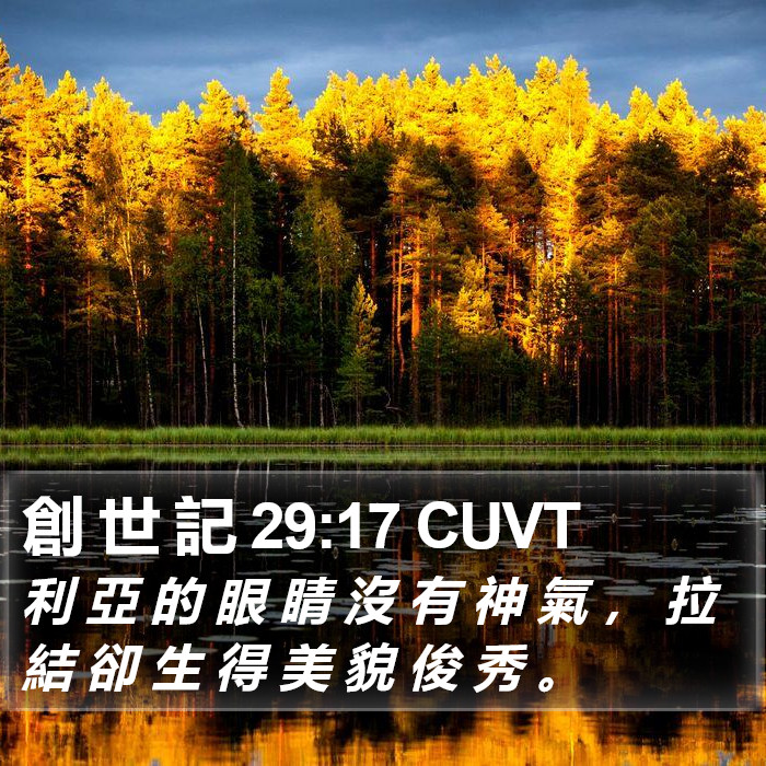 創 世 記 29:17 CUVT Bible Study