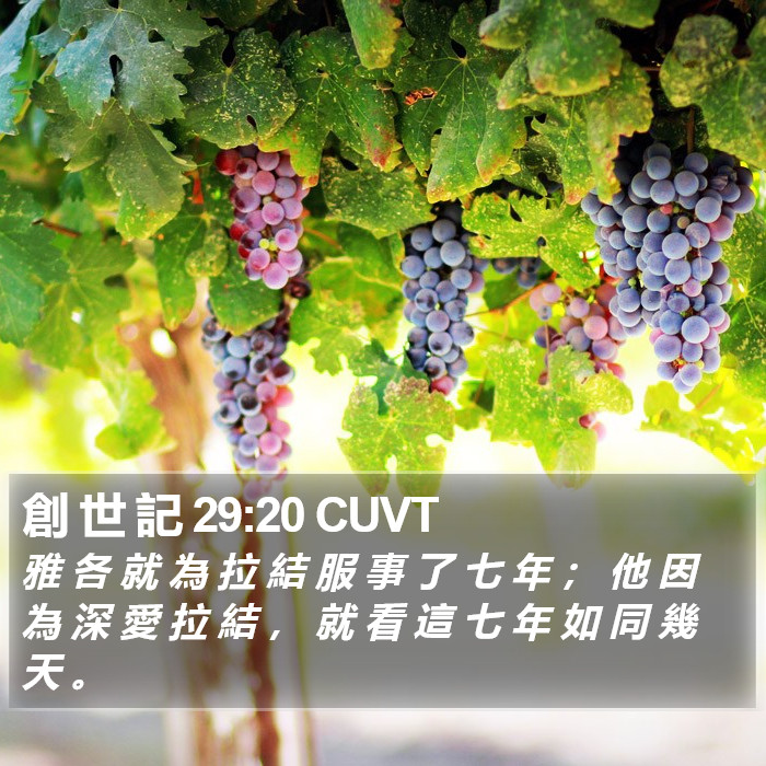 創 世 記 29:20 CUVT Bible Study