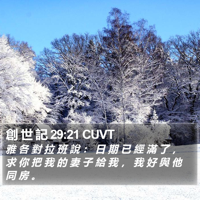 創 世 記 29:21 CUVT Bible Study