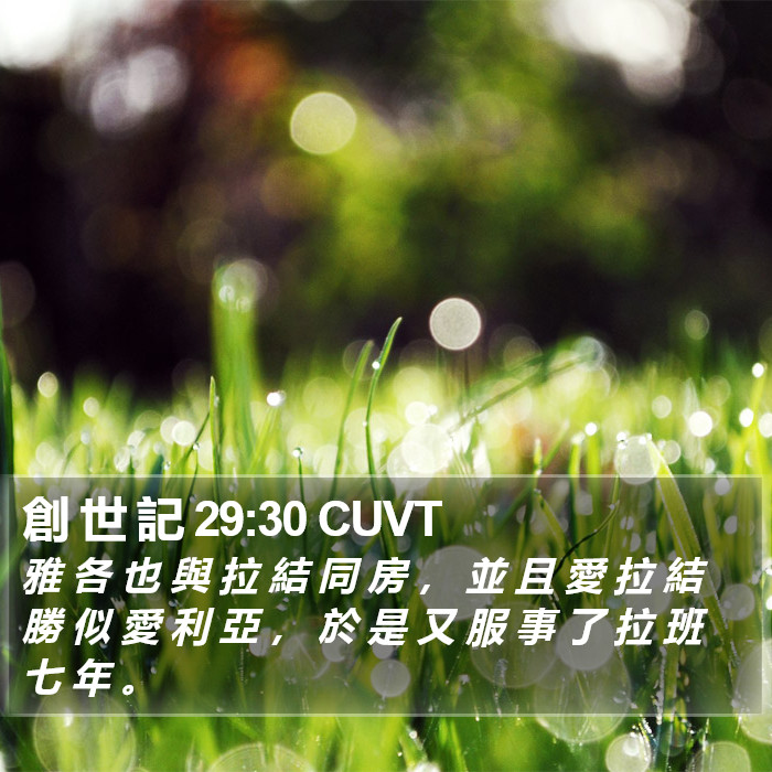 創 世 記 29:30 CUVT Bible Study