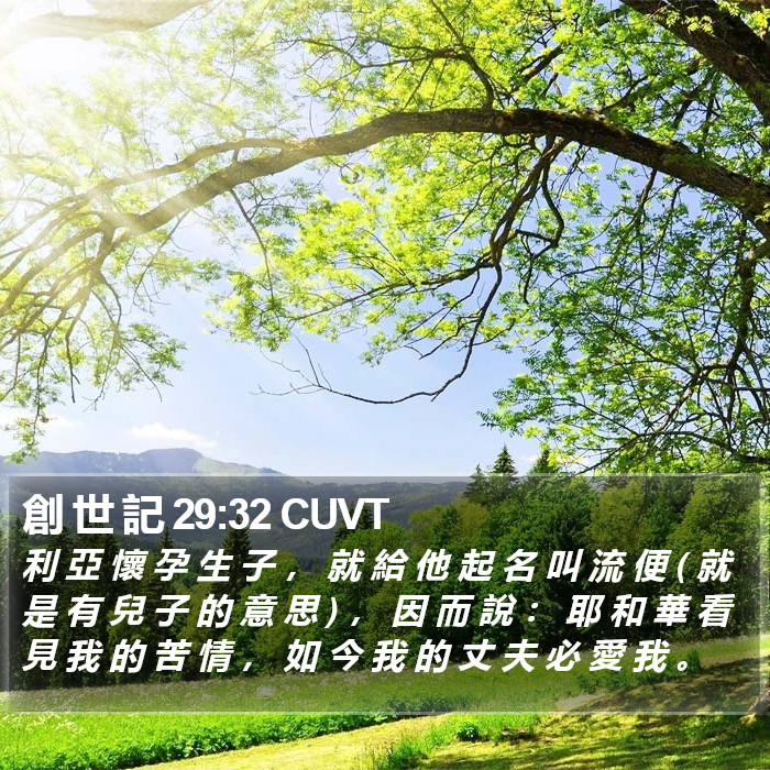 創 世 記 29:32 CUVT Bible Study