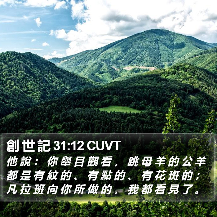 創 世 記 31:12 CUVT Bible Study